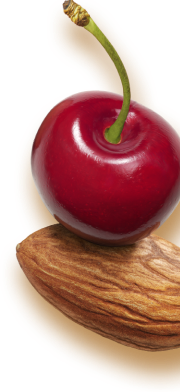 Almond Cherry Right