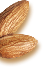 Almond Trio Left